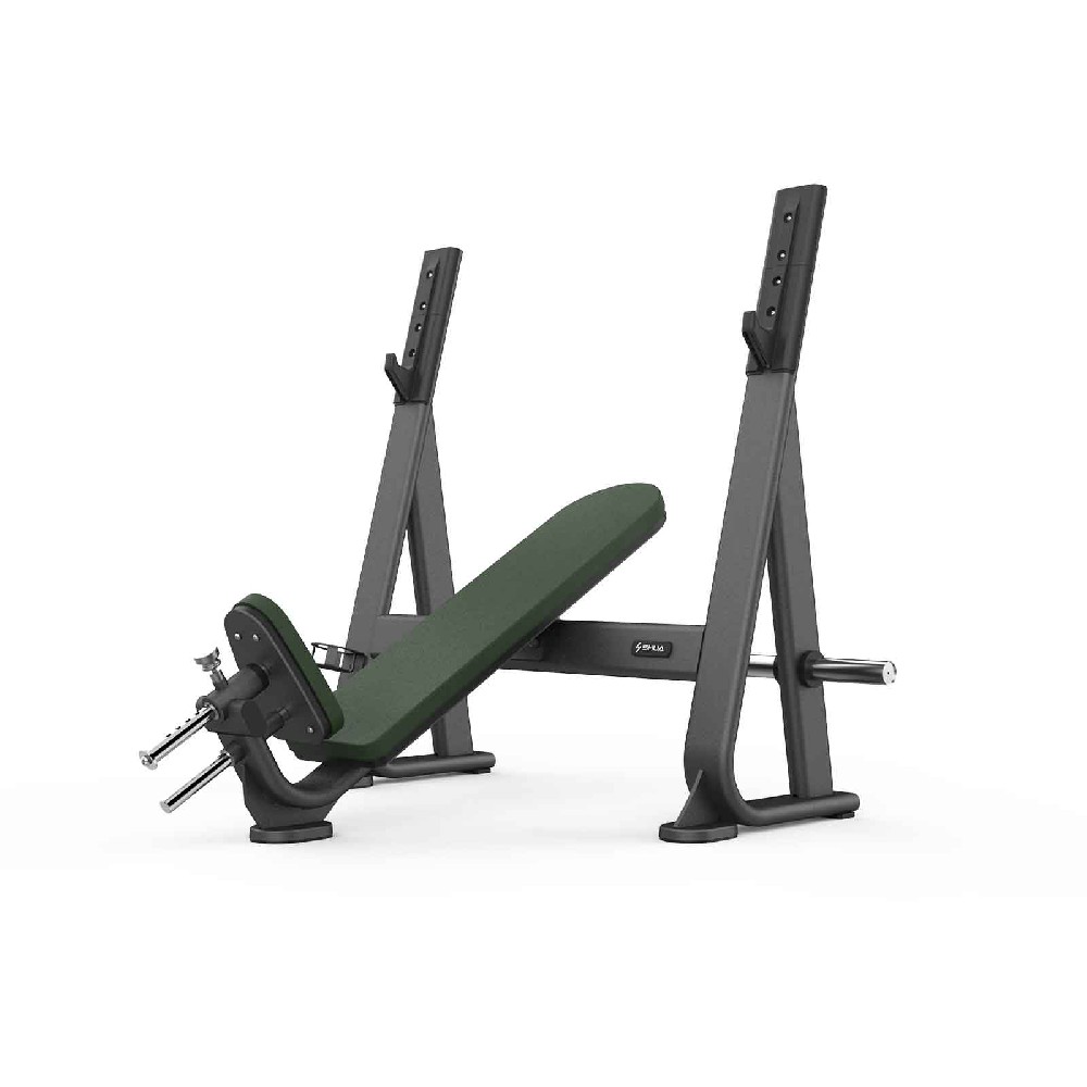 奥林匹克下斜推举椅 SH-G6872-T18